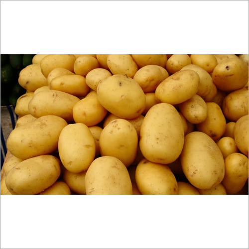 Fresh Potato By POTATOES WHOLE SELL SMD