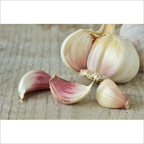 White Garlic
