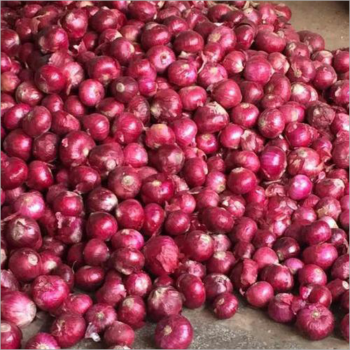 Fresh Red Onion By POTATOES WHOLE SELL SMD