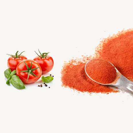 Tomato Powder Dehydration Method: Continuous Hot Air Drying Technology