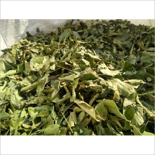 Dried Curry Leaves