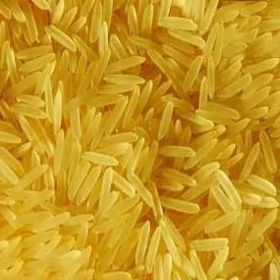 Long Grain Golden Rice