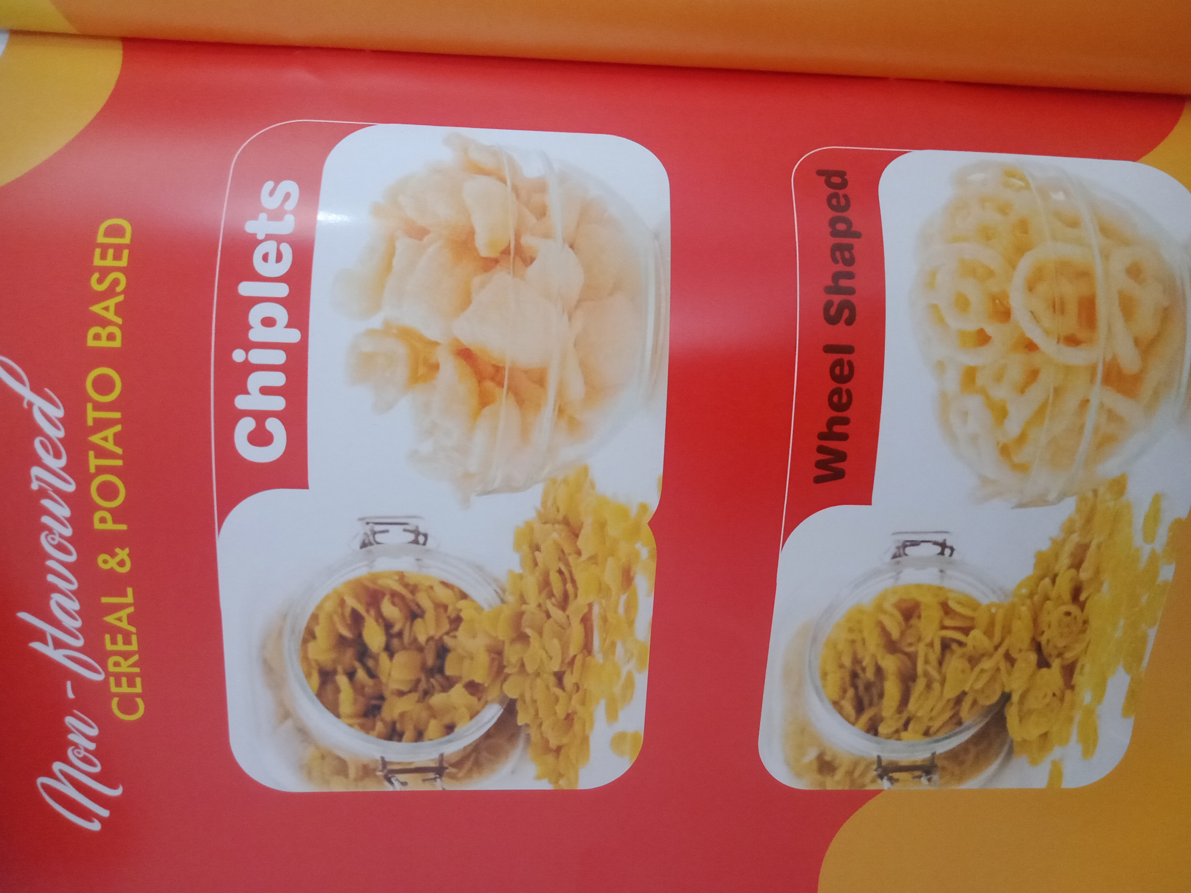 2D , 3D PAPAD , PANIPURI