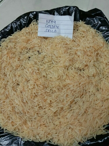 1509 Golden Sella Rice