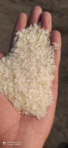 Pr 11 Rice