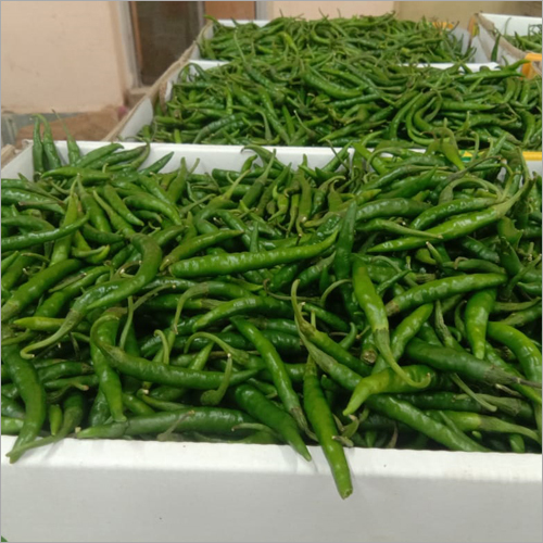 Fresh Green Chilli