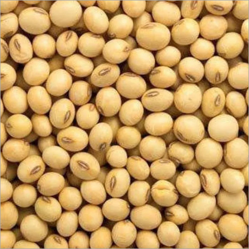Fresh Soyabean - High Purity Organic Soybeans | Versatile Sourcing Options for Various Culinary Applications