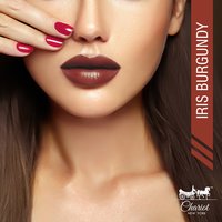Chariot New York Iris Burgundy Creme Lipstick (Burgundy)