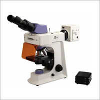 LED Fluorescence Microscope