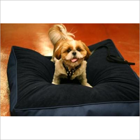 Pet Bed Collections