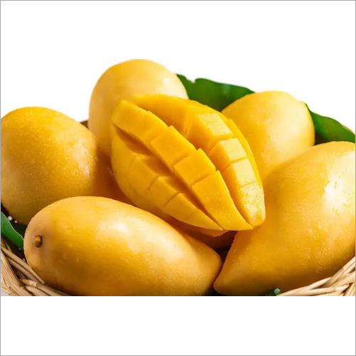 Fresh Mango By PATEL OVERSEAS