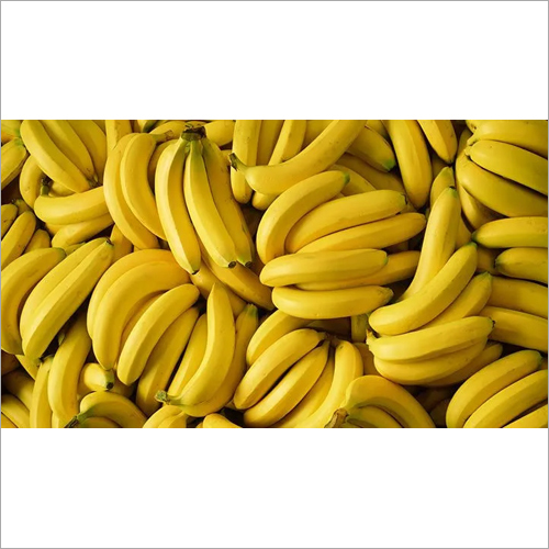 Fresh Banana By PATEL OVERSEAS