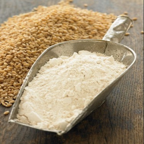 Vital Wheat Gluten