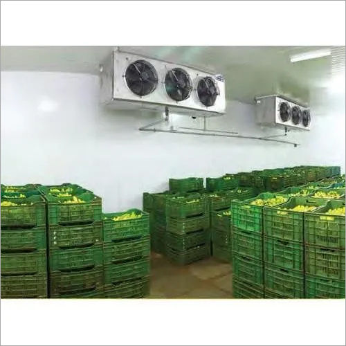 Banana Ripening Chamber Equipment