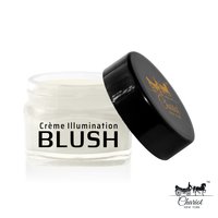 Chariot New York Zilver Shimmer Blush (Silver)