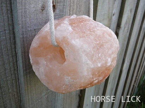 Horse Licking Salt