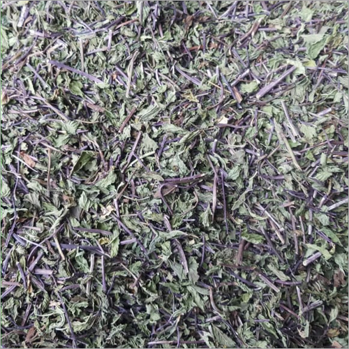 Mint Leaves