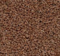 Ajwain Seeds