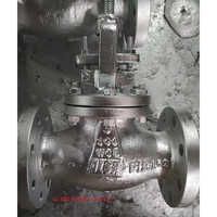 Cast Carbon Steel Globe Valves Application: Oil Industries