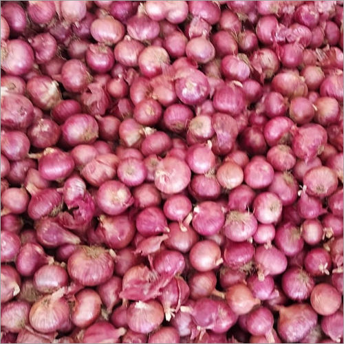 Red Onion