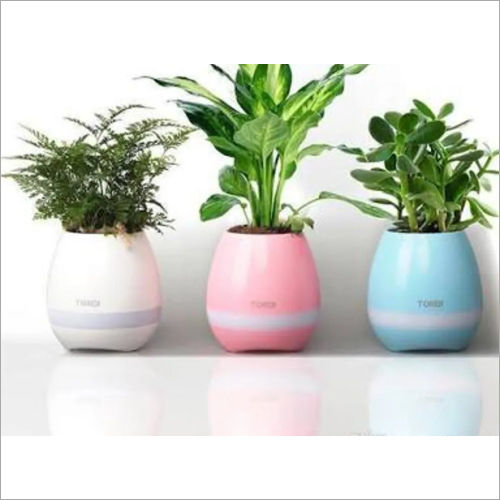 White Flower Pot Speaker