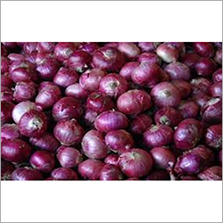 Fresh Onion - Organic and Natural Shape | Fresh Style for Culinary Uses