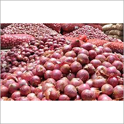 Pink Onion - Organic, Fresh Natural Shape | Ideal for Culinary Uses