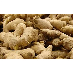 Fresh Ginger