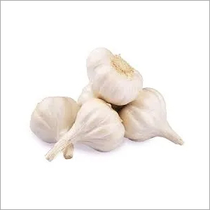 Garlic Bulb - Organic Fresh Garlic Natural Shape | Sourced from India Ideal for Culinary Use