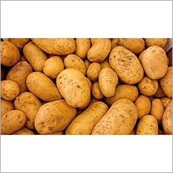 Fresh Potato
