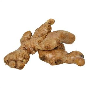 Fresh Ginger Root