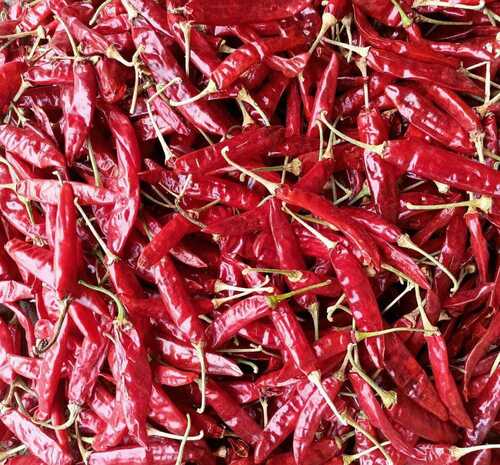 Dry Red Chillies