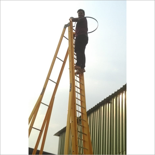 Giant Self Support Extension Ladder
