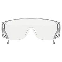 Anti Fog Goggles