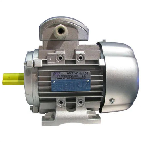 Silver Squirrel Cage Induction Motor