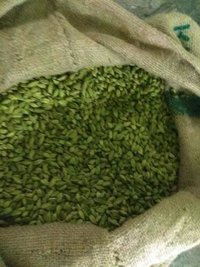 Small Fresh Green Cardamom