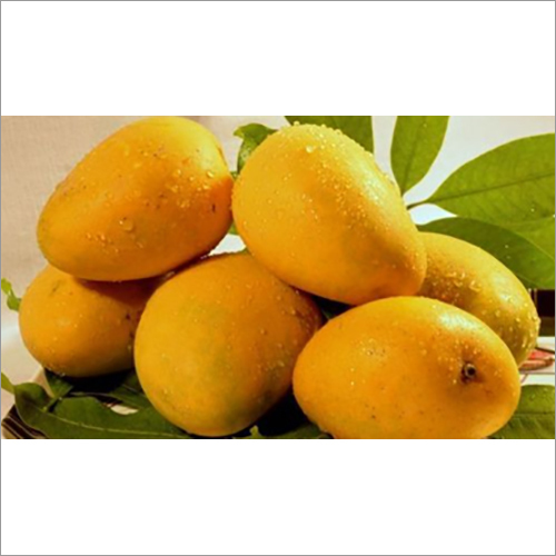 Fresh Mango