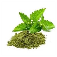 Green Tea Matcha - 100% Natural Powder, 100g | Culinary Grade, High L-theanine, Rich In Antioxidants, Boosts Metabolism, Organic