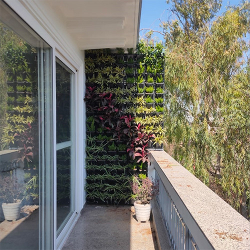 Natural Vertical Gardens