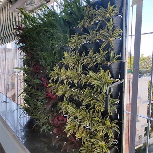 Natural Vertical Gardens