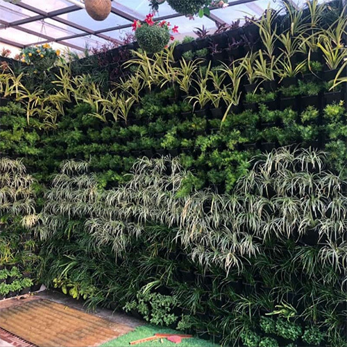Vertical Gardens For Outdoor Decoration By CONCEPT POOLS & GARDENS