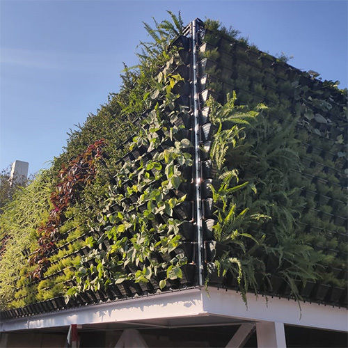 Green Outdoor Vertical Gardens