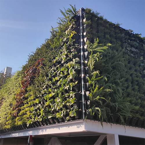 Outdoor Vertical Gardens