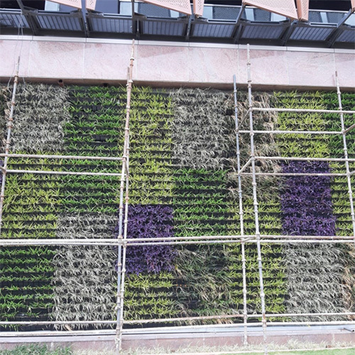 Outdoor Vertical Gardens