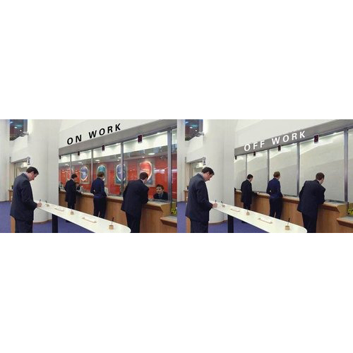 Switchable Smart Glass