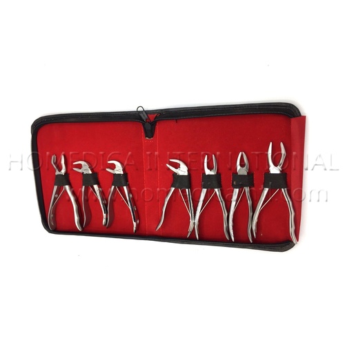 Silver Instrument Dental Extraction Forceps Kit