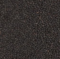 Black Sesame Seeds new stock for sale