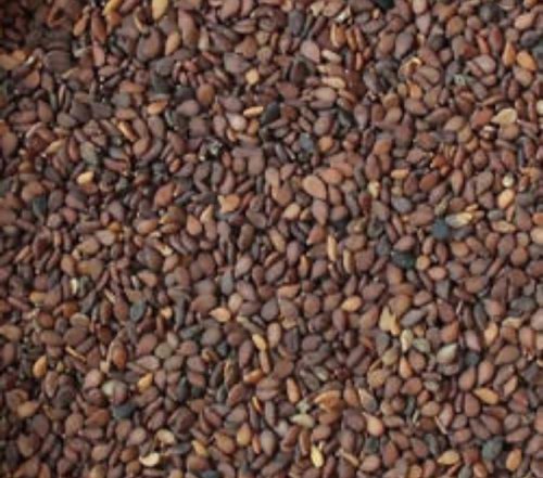 Black Till, Thickness: 6 - 8 mm, Size: Small