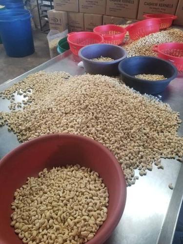 Platinum Nuts Roasted Cashew kernels By SAANRAY EXPORT NETWORKS LIMITED