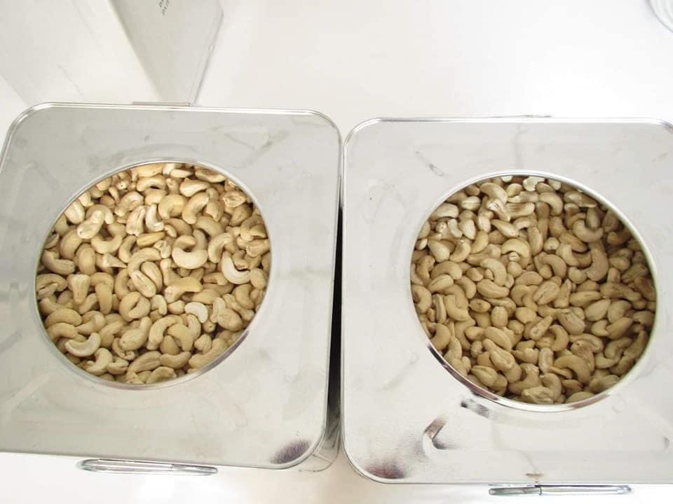 Platinum Nuts Roasted Cashew kernels